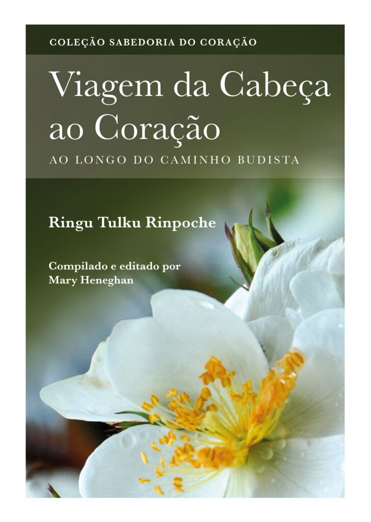 Viagem da Cabeç ao Coração cover