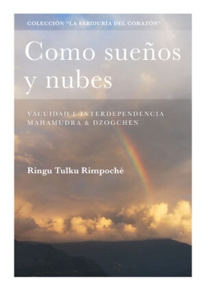 Como sueños y nubes book cover
