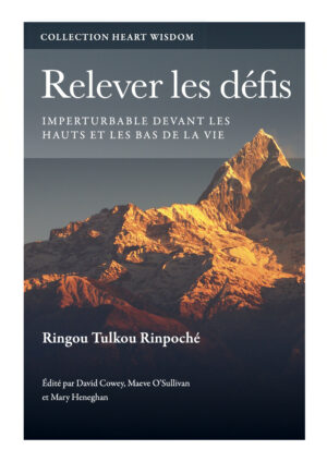 Relever les défis cover