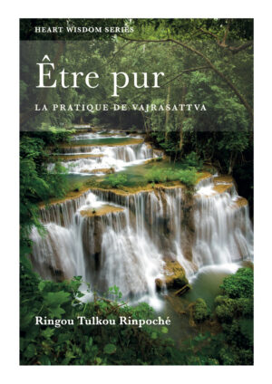 Être pur cover