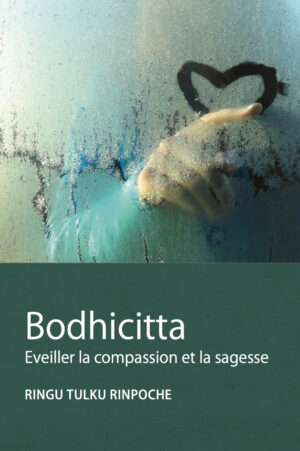 book cover for Observer La Bodhicitta: Eveiller la compassion et la sagesse