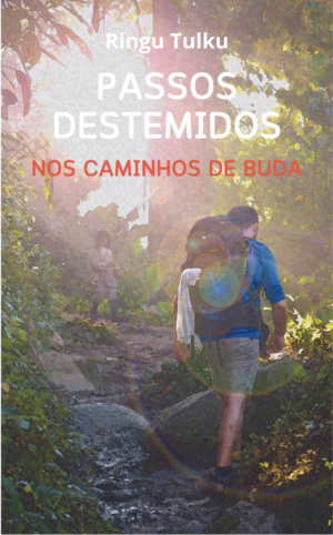 Passos Destemidos cover